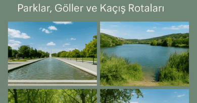 Ankara’da Doğal Güzellikler: Parklar, Göller ve Kaçış Rotaları