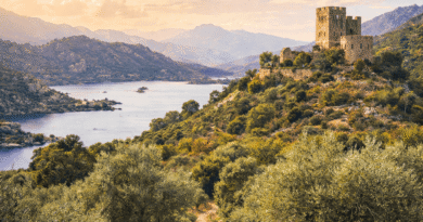 Aydın’ın Doğal Güzellikleri: Ege’nin Yeşil Rotaları ve Keşif Noktaları