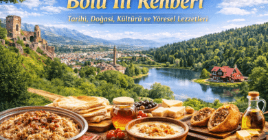 Bolu İli Rehberi | Tarihi, Doğası, Kültürü ve Yöresel Lezzetleri
