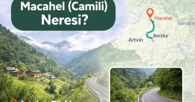 Macahel (Camili) Neresi? Türkiye’nin Biyosfer Rezervi Doğa Yaşam