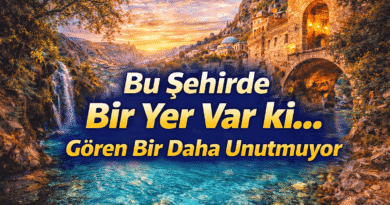 Şehir Şehir Türkiye 81 İlin En Meşhur Yeri Tek Listede