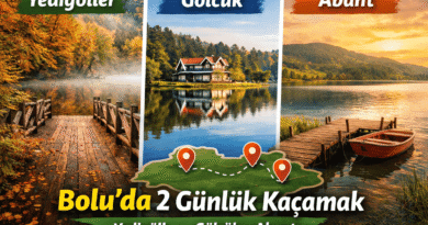 Bolu’da 2 Günlük Kaçamak: Yedigöller, Gölcük, Abant Gezi Rehberi