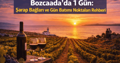 Bozcaada’da 1Gün: Şarap Bağları ve Gün Batımı Noktaları Rehberi