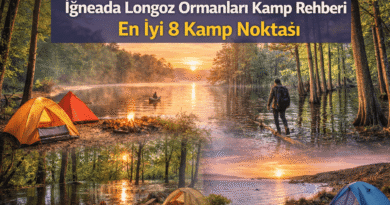 İğneada Longoz Ormanları Kamp Rehberi | En İyi 8 Kamp Noktası