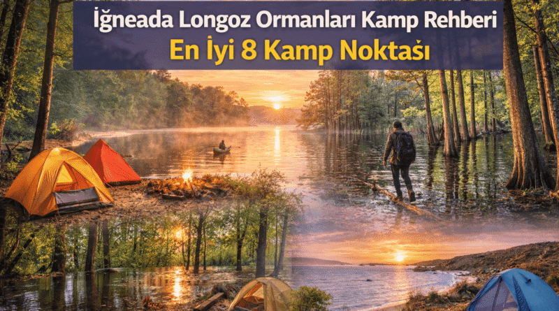 İğneada Longoz Ormanları Kamp Rehberi | En İyi 8 Kamp Noktası